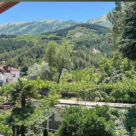 Sajmir Suites Πρεμετή Εξωτερικό φωτογραφία